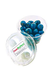 Pot of Organic Blueberries