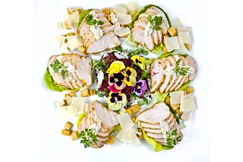The Coral - Cold Fork Buffet