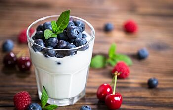 Vegan Soya Yoghurt Pot with Fresh Blueberries - Individual